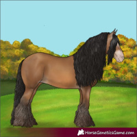 Horse Color:Gray Amber Champagne 