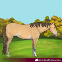 Horse Color:Amber Cream Champagne Tobiano 