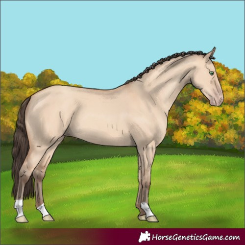 Horse Color:Amber Champagne Dun 