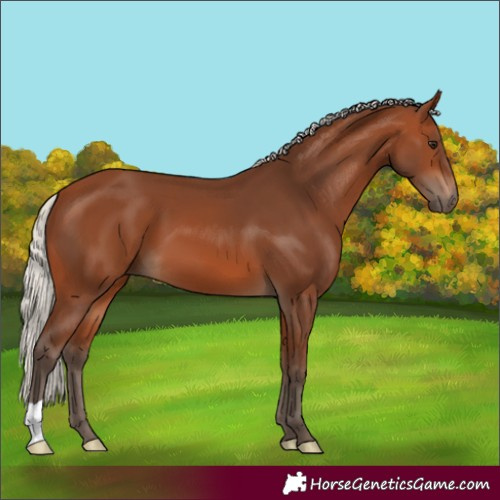 Horse Color:Silver Brown 