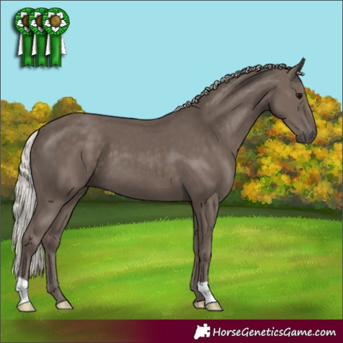 Horse Color:Silver Black