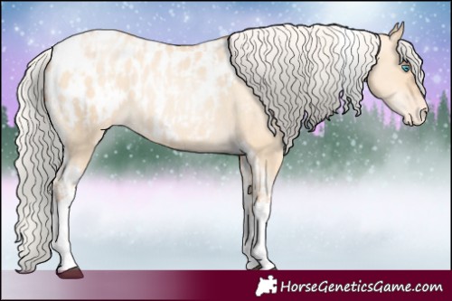 Horse Color:Silver Amber Champagne Pearl Dun Tobiano Appaloosa Rabicano  and Silver Amber Champagne Pearl Dun Tobiano Appaloosa Rabicano 