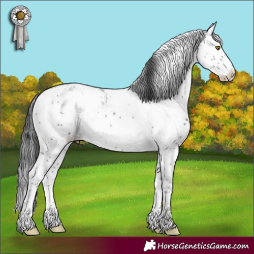 Horse Color:Brown Sabino Appaloosa 