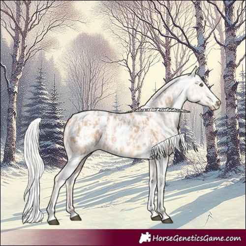 Horse Color:Silver Bay Pearl Dun Tobiano Near Leopard Rabicano  and Silver Amber Champagne Pearl Dun Tobiano Near Leopard Rabicano 