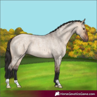 Horse Color:Bay Roan Dun 
