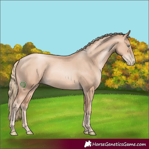 Horse Color:Gold Champagne Pearl Rabicano  and Gold Champagne Pearl Rabicano 