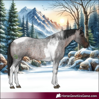Horse Color:Brown Roan Tobiano Rabicano
