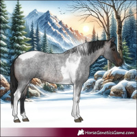 Horse Color:Brown Roan Tobiano Rabicano