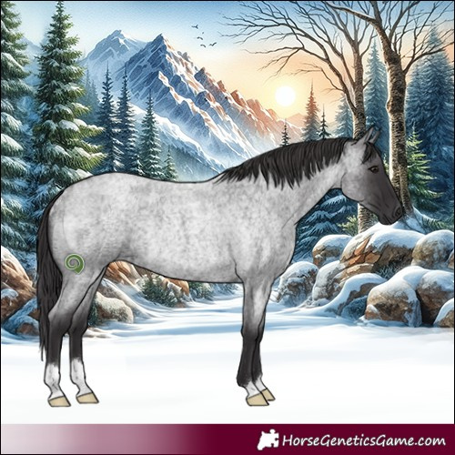 Horse Color:Smoky Blue Roan Rabicano 