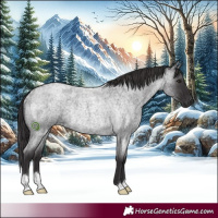 Horse Color:Smoky Blue Roan Rabicano
