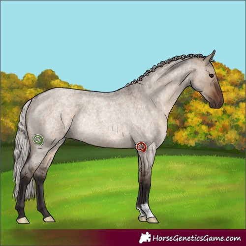 Horse Color:Silver Brown Roan Dun Rabicano 