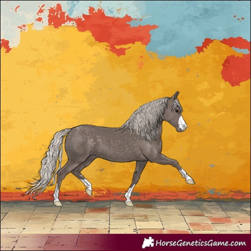 Horse Color:Silver Black