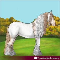 Horse Color:Silver Amber Champagne Pearl Dun Tobiano Appaloosa Rabicano  and Gold Champagne Pearl Dun Tobiano Appaloosa Rabicano 