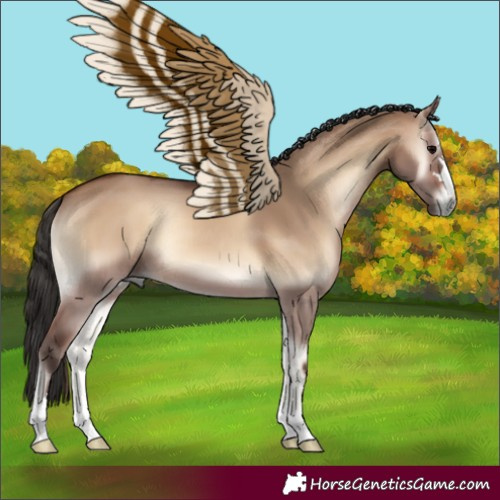 Horse Color:Brown Onyx