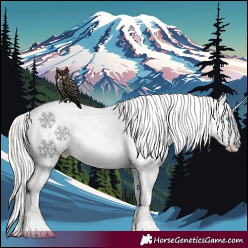 Horse Color:Silver Amber Champagne Pearl Dun Tobiano Blanket Rabicano and Silver Amber Champagne Pearl Dun Tobiano Blanket Rabicano