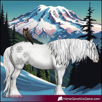 Horse Color:Silver Amber Champagne Pearl Dun Tobiano Blanket Rabicano  and Silver Amber Champagne Pearl Dun Tobiano Blanket Rabicano 