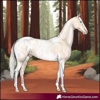 Horse Color:Silver Amber Champagne Pearl Dun Tobiano Appaloosa Rabicano  and Silver Amber Champagne Pearl Dun Splash Tobiano Appaloosa Rabicano 