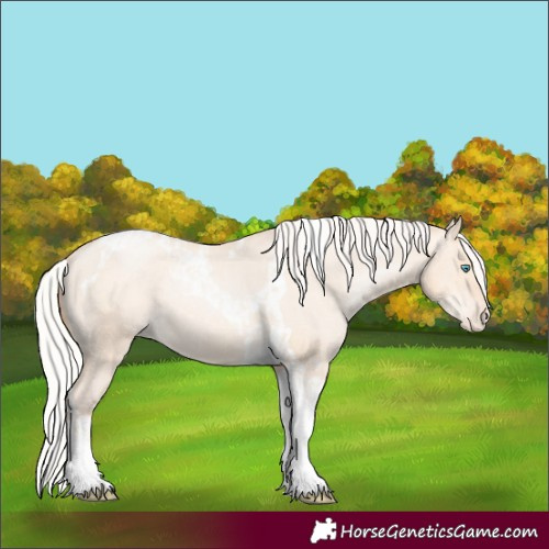 Horse Color:Silver Amber Champagne Pearl Dun Tobiano Varnish Rabicano  and Silver Amber Champagne Pearl Dun Tobiano Varnish Rabicano 