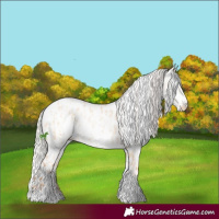 Horse Color:Silver Amber Champagne Pearl Dun Tobiano Leopard Rabicano  and Silver Amber Champagne Pearl Dun Tobiano Fewspot Rabicano 