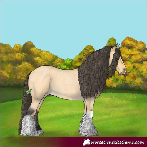 Horse Color:Buckskin Roan Tobiano 