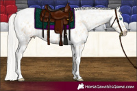 Horse Color:Silver Amber Champagne Pearl Dun Tobiano Near Leopard Rabicano and Silver Amber Champagne Pearl Dun Tobiano Near Leopard Rabicano