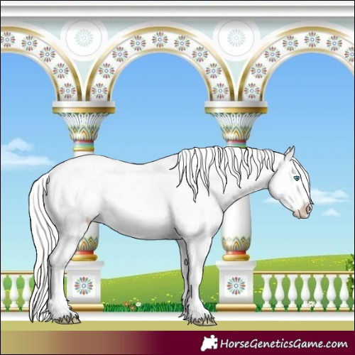 Horse Color:Silver Amber Champagne Pearl Dun Tobiano Blanket Rabicano and Silver Amber Champagne Pearl Dun Tobiano Blanket Rabicano