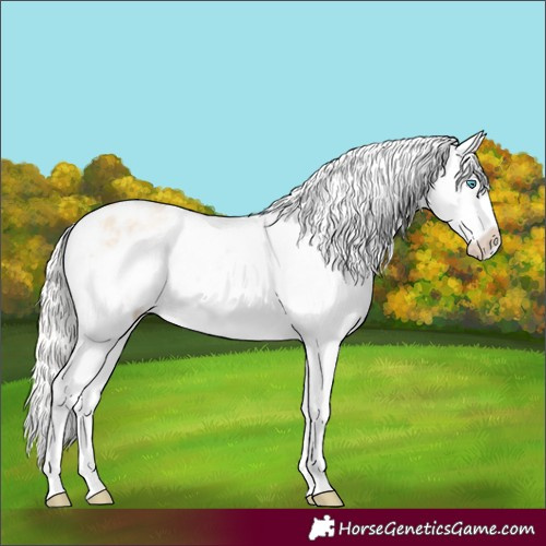 Horse Color:Silver Amber Champagne Pearl Dun Tobiano Appaloosa Rabicano  and Silver Amber Champagne Pearl Dun Tobiano Appaloosa Rabicano 