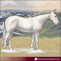 Horse Color:Silver Amber Champagne Pearl Dun Tobiano Frame Varnish Rabicano  and Silver Amber Champagne Pearl Dun Tobiano Frame Varnish Rabicano 