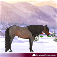 Horse Color:Liver Red Roan 