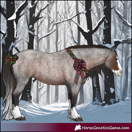 Horse Color:Liver Red Roan Splash 