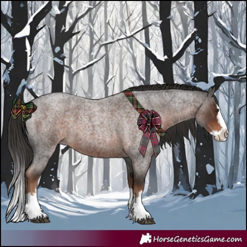 Horse Color:Liver Red Roan Splash