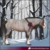 Horse Color:Liver Red Roan Splash 