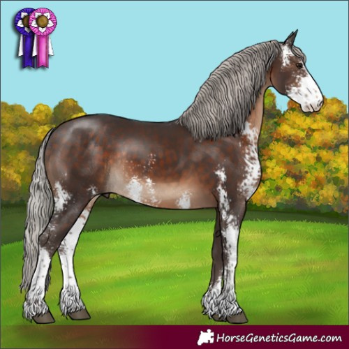 Horse Color:Silver Brown Sabino Rabicano 