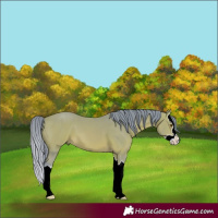 Horse Color:Watercolor Bay Splash 