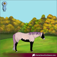 Horse Color:Watercolor Red Dun Splash 