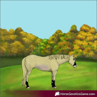 Horse Color:Watercolor Chestnut 