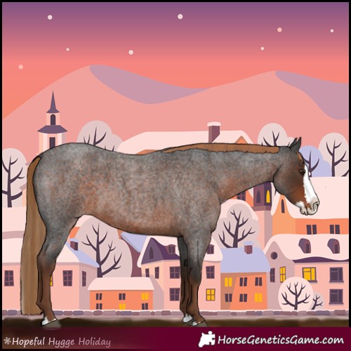 Horse Color:Liver Red Roan Splash 