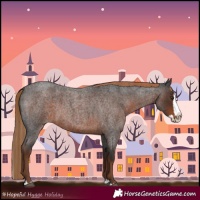 Horse Color:Liver Red Roan Splash 