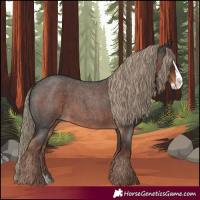 Horse Color:Liver Red Roan Splash