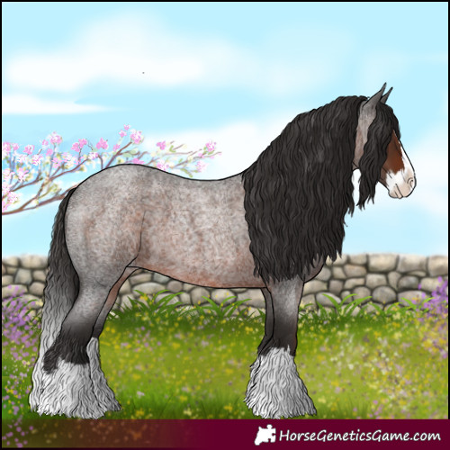 Horse Color:Liver Red Roan Splash