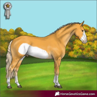 Horse Color:Palomino Frame