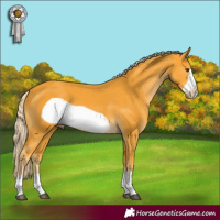 Horse Color:Palomino Frame 