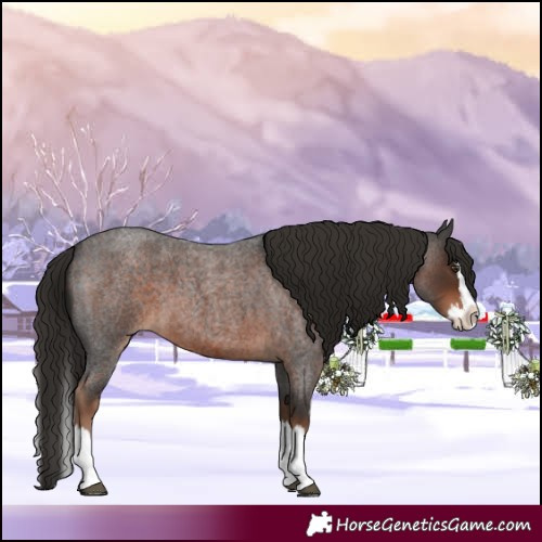 Horse Color:Liver Red Roan Splash