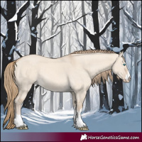 Horse Color:Perlino Dun 