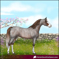 Horse Color:Liver Red Roan Splash 