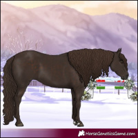 Horse Color:Liver Chestnut 