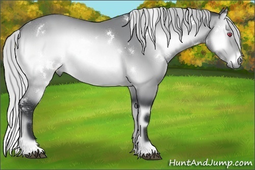 Horse Color:White Spotted Silver Brown Chinchilla Onyx 