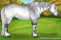 Horse Color:White Spotted Silver Brown Chinchilla Onyx
