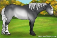 Horse Color:Silver Brown Chinchilla 