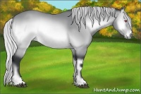 Horse Color:Silver Brown Chinchilla Onyx 